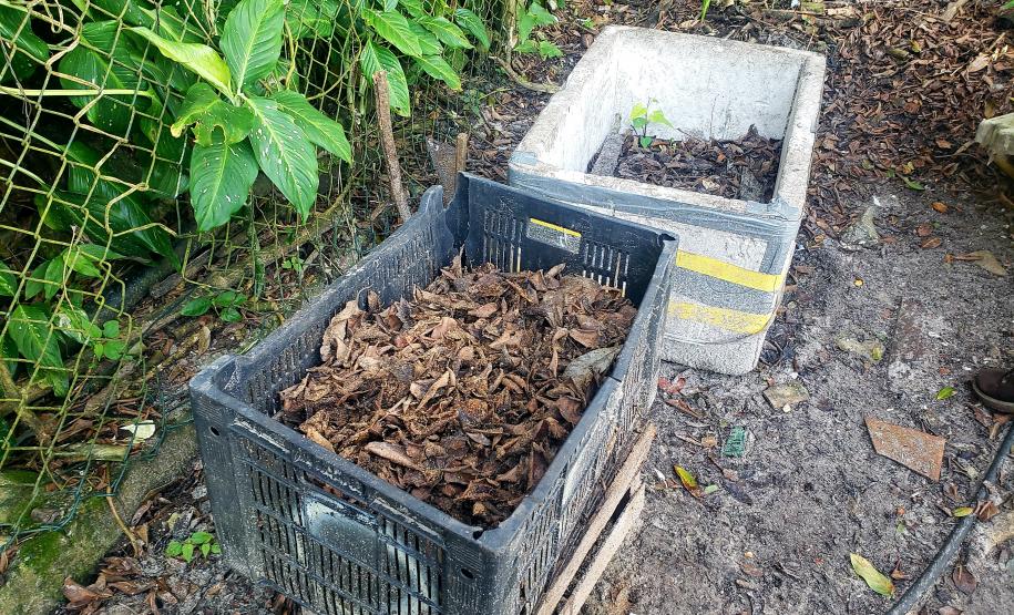 Projeto é gratuito, tem início com ensinamentos sobre compostagem e qualquer morador das comunidades isoladas das áreas de abrangência dos portos paranaenses pode participar