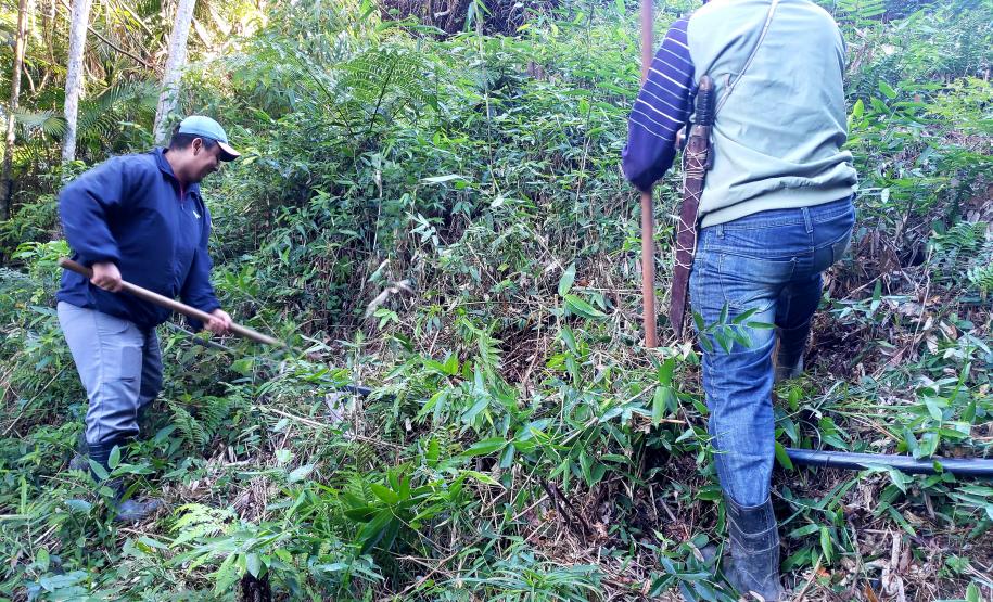 Segunda fase do trabalho, na ilha Europinha, concluiu o atendimento por setores para 46 famílias. Terceira fase tem previsão de melhorar ainda mais a captação, através da tecnologia Caxambu.
