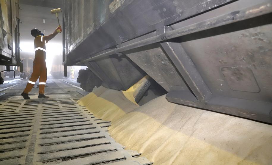 Cada vez mais cargas chegam e saem dos Portos do Paraná por ferrovia