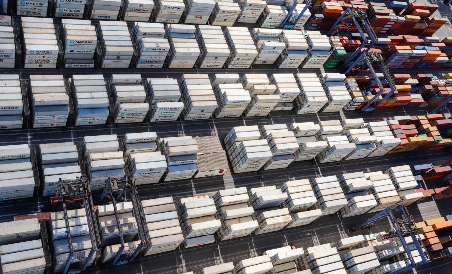 A exportação é possível graças ao uso de contêineres refrigerados, que mantêm a temperatura ideal durante toda a viagem, que dura cerca de 15 dias. O Porto de Paranaguá possui hoje a maior estrutura para este tipo de transporte, em toda a América Latina.