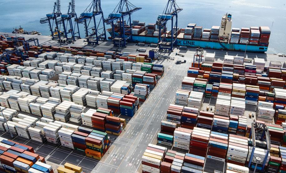 A exportação é possível graças ao uso de contêineres refrigerados, que mantêm a temperatura ideal durante toda a viagem, que dura cerca de 15 dias. O Porto de Paranaguá possui hoje a maior estrutura para este tipo de transporte, em toda a América Latina.