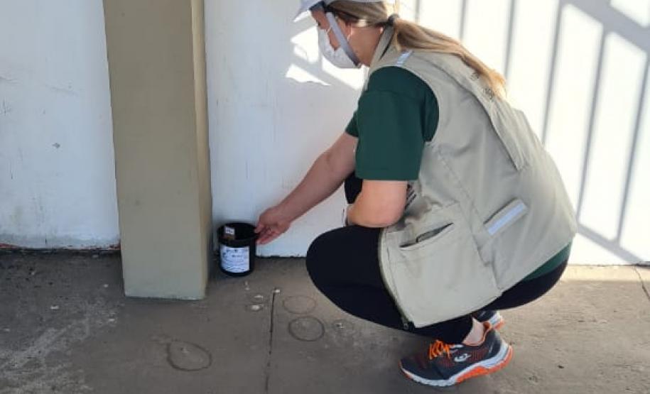 Com o apoio da Diretoria de Meio Ambiente da Portos do Paraná, a equipe da 1ª Regional de Saúde do Estado segue intensificando os trabalhos de prevenção à dengue no cais do Porto de Paranaguá. Nesta semana, 17 armadilhas foram instaladas, de ponta a ponta, para capturar e tentar identificar a presença de ovos do mosquito Aedes aegypti.