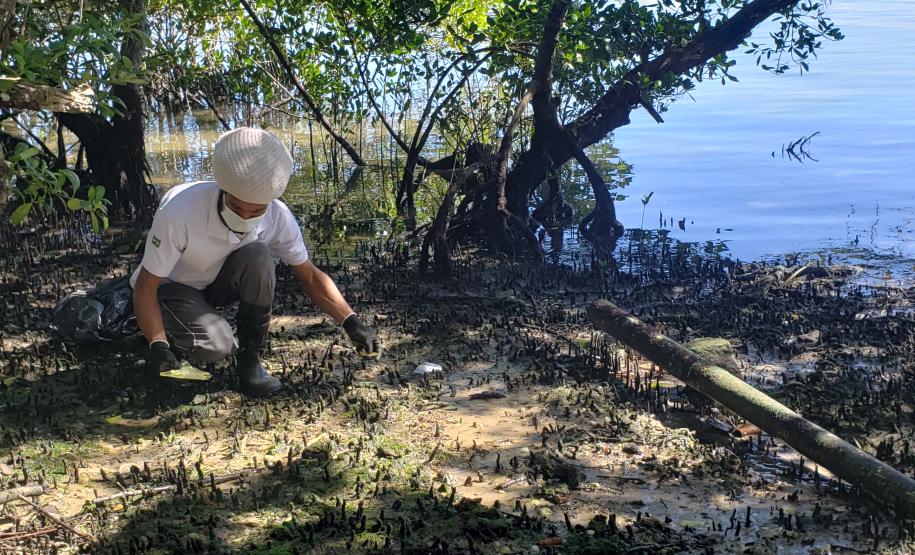 Além do benefício da limpeza desse importante ecossistema, a atividade integra as pessoas das comunidades de forma a despertar a consciência e o engajamento quanto à preservação.