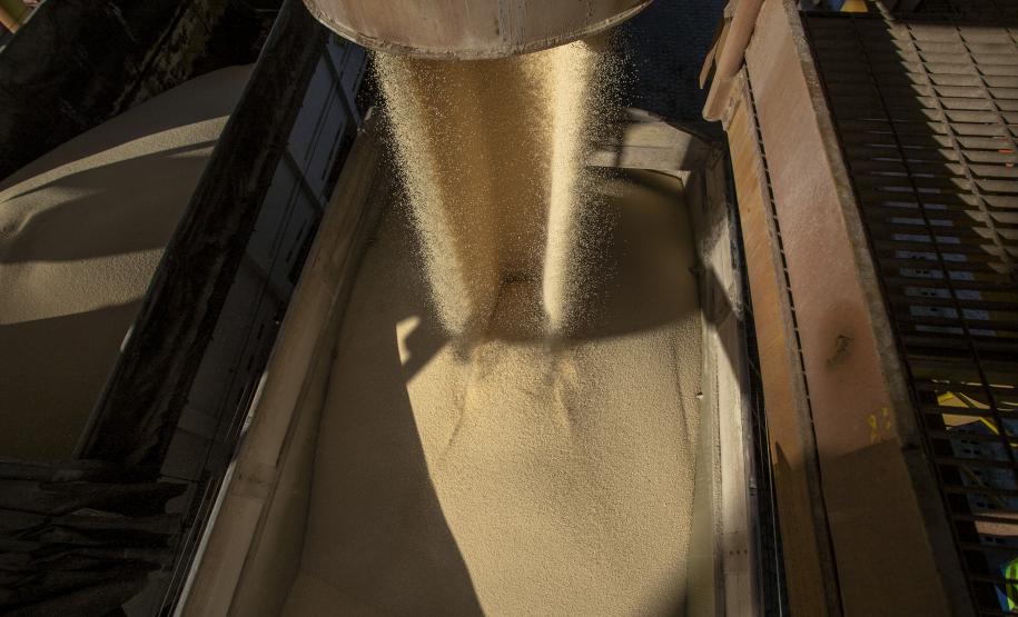 Uma operação diferente chama a atenção nesta semana. No berço 209, o navio Bulk Trader descarrega fertilizantes em uma operação simultânea, com dois guindastes de terra. Em quatro dias serão quase 34,3 mil toneladas de produtos recebidos, incluindo ureia, nitrato de amônio e complexo NPK (nitrogênio, fósforo e potássio).