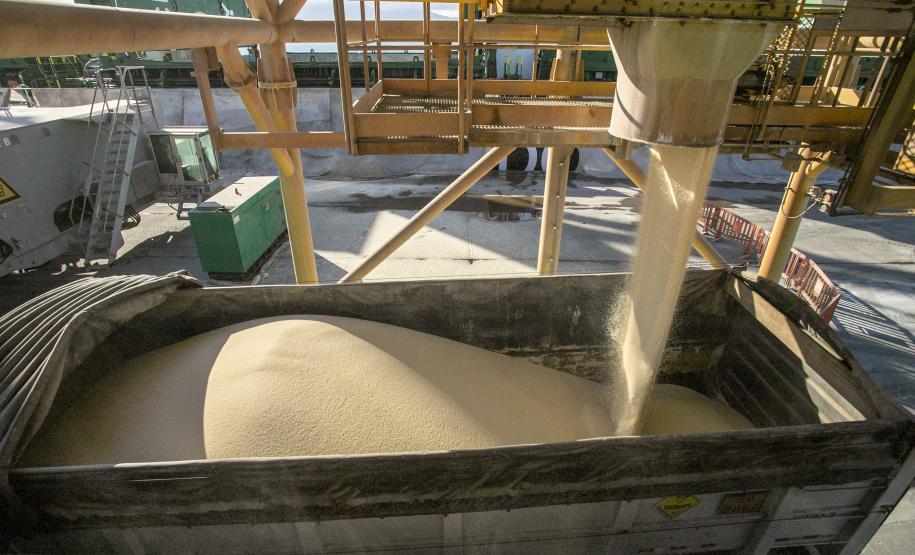 Uma operação diferente chama a atenção nesta semana. No berço 209, o navio Bulk Trader descarrega fertilizantes em uma operação simultânea, com dois guindastes de terra. Em quatro dias serão quase 34,3 mil toneladas de produtos recebidos, incluindo ureia, nitrato de amônio e complexo NPK (nitrogênio, fósforo e potássio).