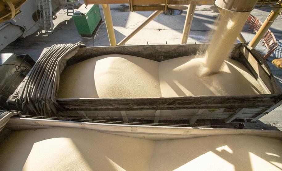 Uma operação diferente chama a atenção nesta semana. No berço 209, o navio Bulk Trader descarrega fertilizantes em uma operação simultânea, com dois guindastes de terra. Em quatro dias serão quase 34,3 mil toneladas de produtos recebidos, incluindo ureia, nitrato de amônio e complexo NPK (nitrogênio, fósforo e potássio).