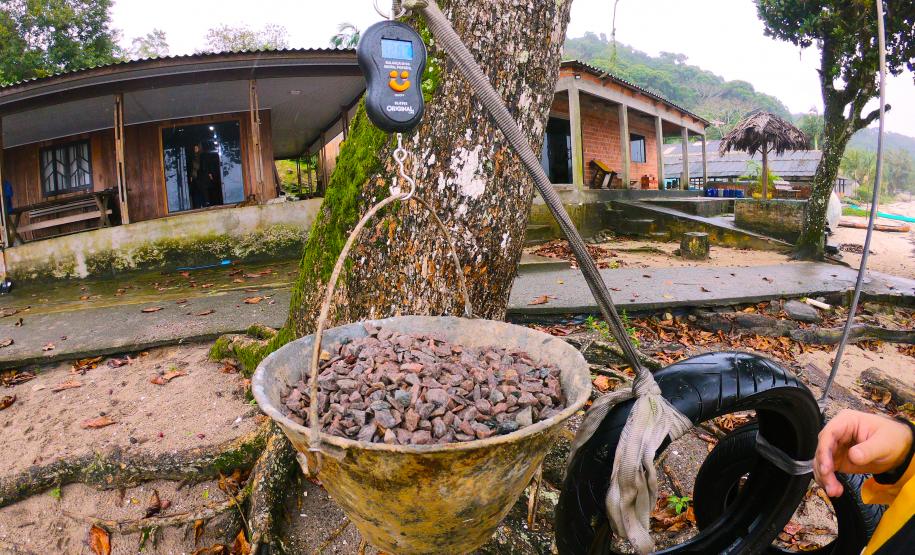 Sistema de proteção de nascentes evita contaminação da água. Trabalho faz parte do projeto de readequação de microssistemas de abastecimento de água nas áreas de abrangência dos portos paranaenses.