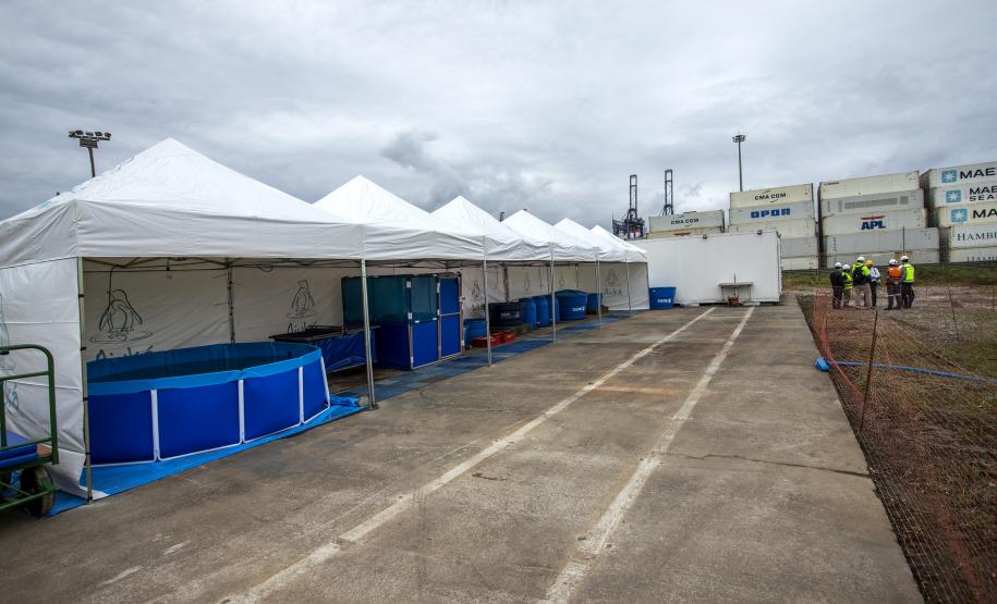 Local tem objetivo de prestar um primeiro atendimento, caso apareçam animais debilitados por detonações para remoção de rochas. Foram montadas tendas com tanques e piscinas para atender peixes, tartarugas, aves e espécies maiores, como cetáceos (botos).