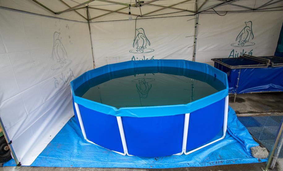 Local tem objetivo de prestar um primeiro atendimento, caso apareçam animais debilitados por detonações para remoção de rochas. Foram montadas tendas com tanques e piscinas para atender peixes, tartarugas, aves e espécies maiores, como cetáceos (botos).