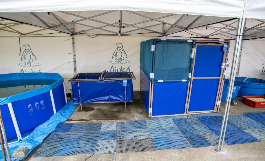 Local tem objetivo de prestar um primeiro atendimento, caso apareçam animais debilitados por detonações para remoção de rochas. Foram montadas tendas com tanques e piscinas para atender peixes, tartarugas, aves e espécies maiores, como cetáceos (botos).