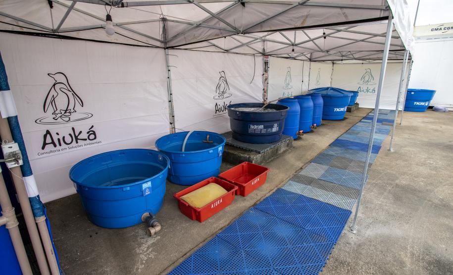 Local tem objetivo de prestar um primeiro atendimento, caso apareçam animais debilitados por detonações para remoção de rochas. Foram montadas tendas com tanques e piscinas para atender peixes, tartarugas, aves e espécies maiores, como cetáceos (botos).