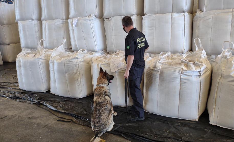 Ação conjunta reuniu Receita Federal, Polícia Militar e Unidade Administrativa de Segurança Portuária
