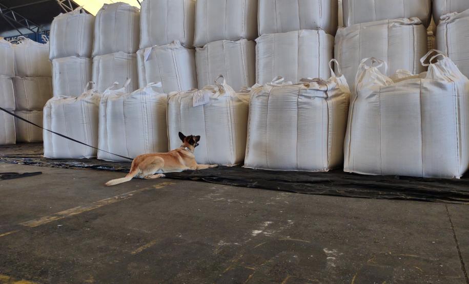 Ação conjunta reuniu Receita Federal, Polícia Militar e Unidade Administrativa de Segurança Portuária