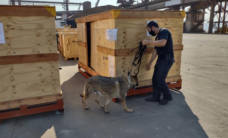 Ação conjunta reuniu Receita Federal, Polícia Militar e Unidade Administrativa de Segurança Portuária