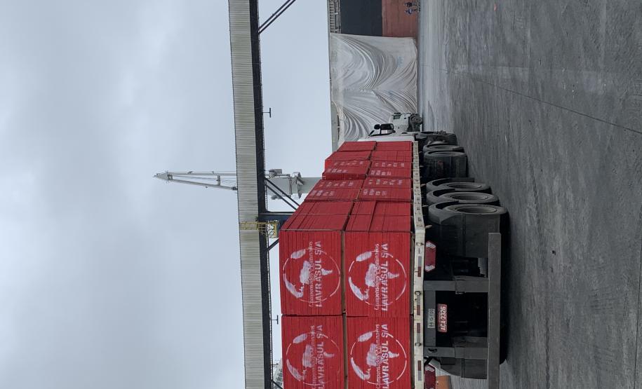 Madeira é embarcada em porão de navio destinado a cargas rolantes no Porto de Paranaguá