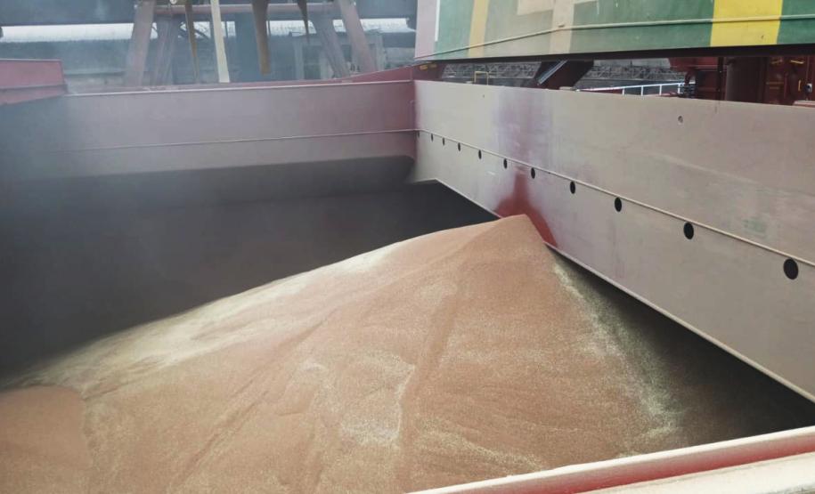 No Corredor de Exportação Leste do Porto de Paranaguá (Corex), duas operações em andamento chamam a atenção por fugirem da rotina do complexo portuário, pelo tipo de produto e modalidade de transporte adotado. A primeira pelo embarque de trigo para navegação interior (cabotagem). Outra, pelo sentido da carga e pela produtividade: 11 mil toneladas de milho de importação foram descarregadas em 24 horas.