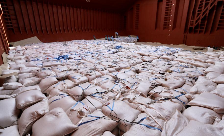 No berço 202 do Porto de Paranaguá, o navio Lady Lilly recebe uma carga inédita de gergelim em sacas. O produto nacional, que segue para exportação, é estivado direto nos cinco porões da embarcação. Em média, cada espaço vai levar cerca de 4 mil toneladas da semente, totalizando um embarque de 20 mil toneladas que têm como destino a Guatemala.