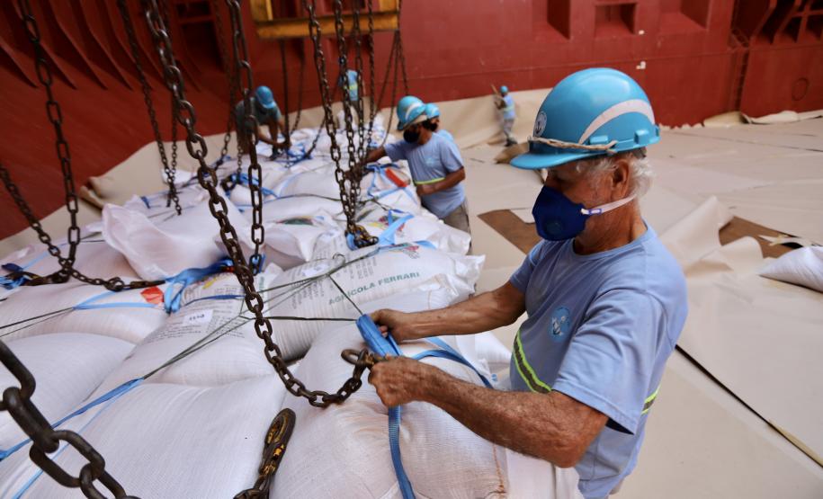 No berço 202 do Porto de Paranaguá, o navio Lady Lilly recebe uma carga inédita de gergelim em sacas. O produto nacional, que segue para exportação, é estivado direto nos cinco porões da embarcação. Em média, cada espaço vai levar cerca de 4 mil toneladas da semente, totalizando um embarque de 20 mil toneladas que têm como destino a Guatemala.