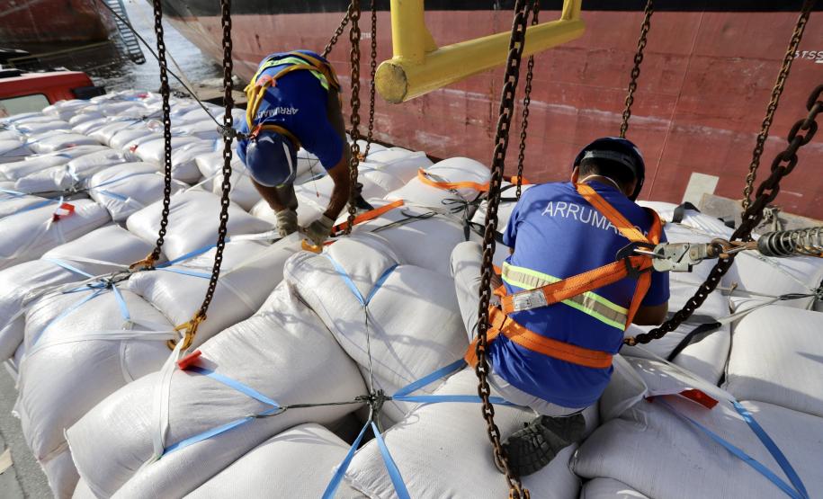 No berço 202 do Porto de Paranaguá, o navio Lady Lilly recebe uma carga inédita de gergelim em sacas. O produto nacional, que segue para exportação, é estivado direto nos cinco porões da embarcação. Em média, cada espaço vai levar cerca de 4 mil toneladas da semente, totalizando um embarque de 20 mil toneladas que têm como destino a Guatemala.