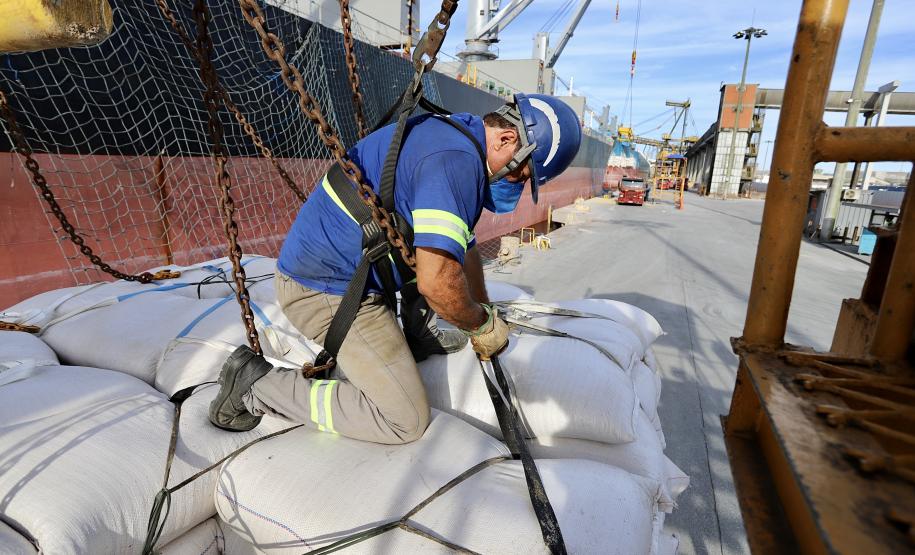 No berço 202 do Porto de Paranaguá, o navio Lady Lilly recebe uma carga inédita de gergelim em sacas. O produto nacional, que segue para exportação, é estivado direto nos cinco porões da embarcação. Em média, cada espaço vai levar cerca de 4 mil toneladas da semente, totalizando um embarque de 20 mil toneladas que têm como destino a Guatemala.