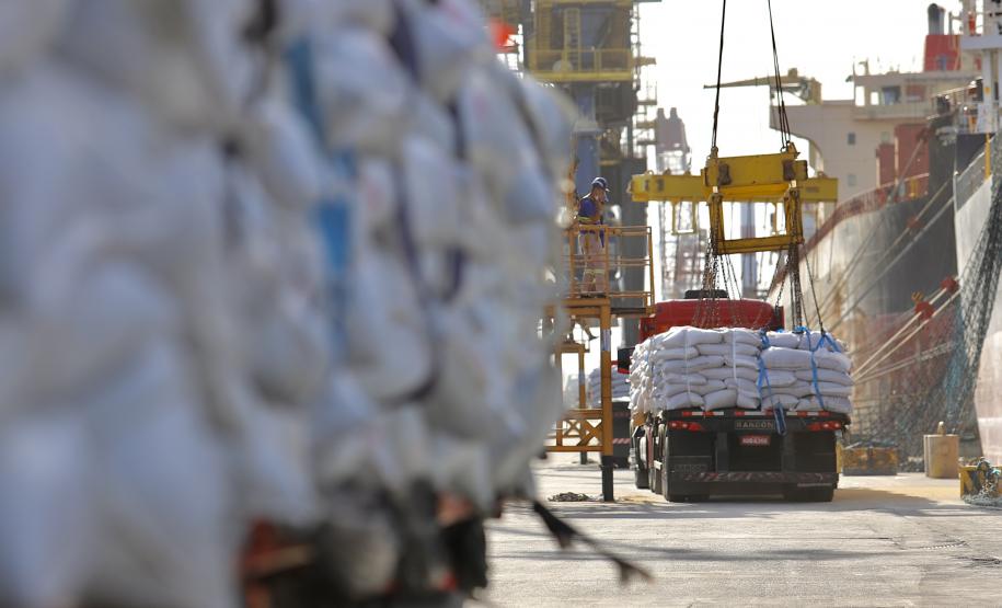 No berço 202 do Porto de Paranaguá, o navio Lady Lilly recebe uma carga inédita de gergelim em sacas. O produto nacional, que segue para exportação, é estivado direto nos cinco porões da embarcação. Em média, cada espaço vai levar cerca de 4 mil toneladas da semente, totalizando um embarque de 20 mil toneladas que têm como destino a Guatemala.