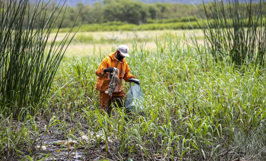 Ação aconteceu em conjunto com a Associação de Pescadores do município, na Ponta da Pita, trapiche municipal, rio Tucunduva e região do Portinho.