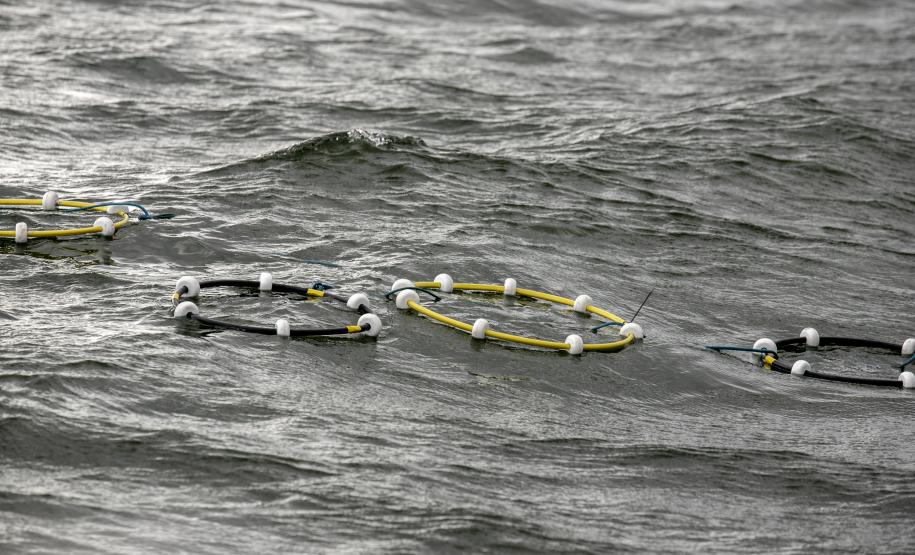 O cenário do exercício, nesta terça-feira (7), foi de vazamento de óleo combustível de uma draga, com fauna atingida.