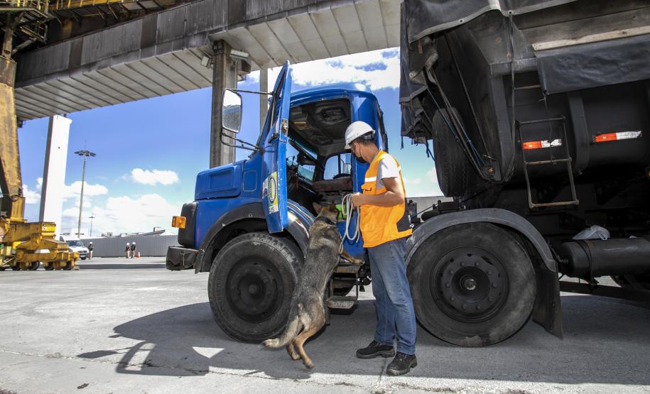 Operação com Cães no Porto - 23/12/2021