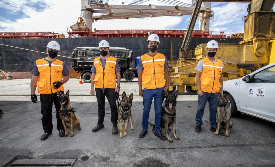 Operação com Cães no Porto - 23/12/2021