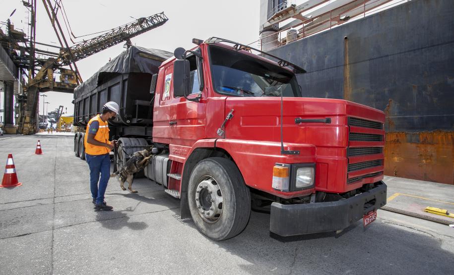 Operação com Cães no Porto - 23/12/2021