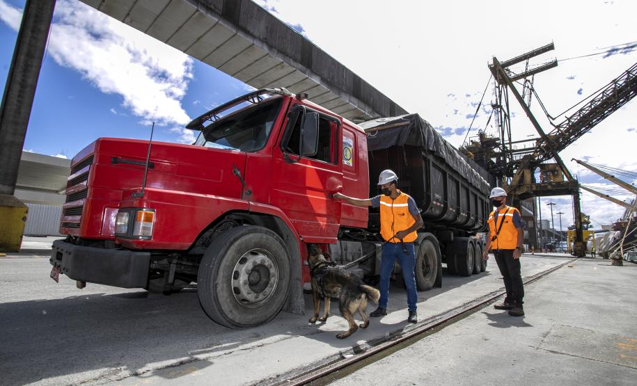 Operação com Cães no Porto - 23/12/2021