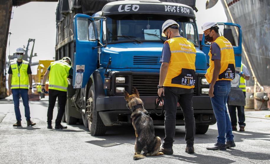 Operação com Cães no Porto - 23/12/2021