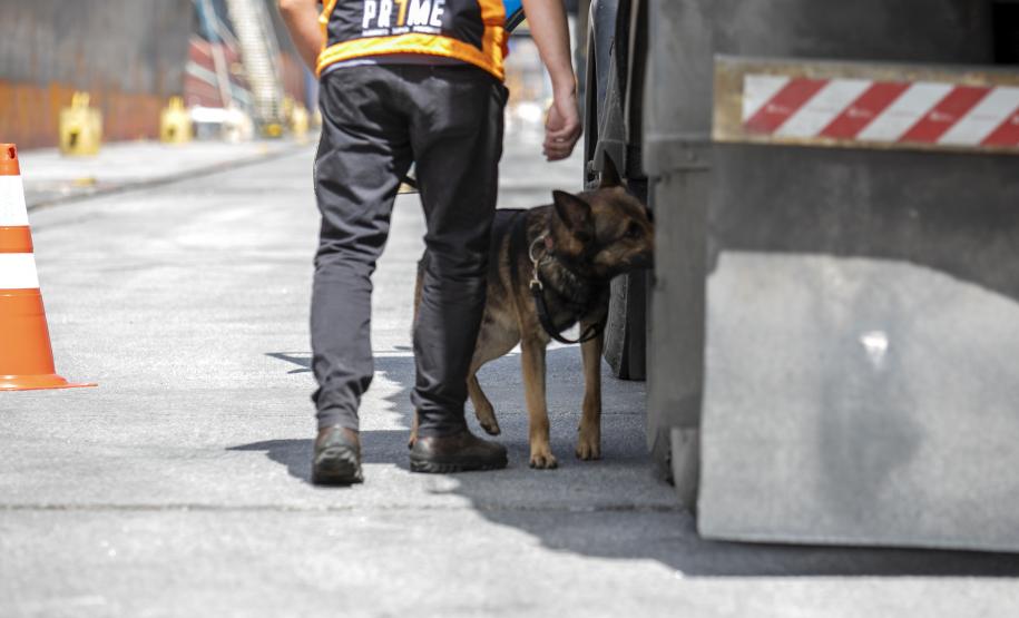 Operação com Cães no Porto - 23/12/2021