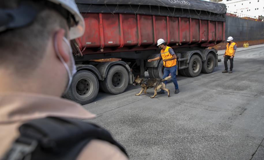 Operação com Cães no Porto - 23/12/2021