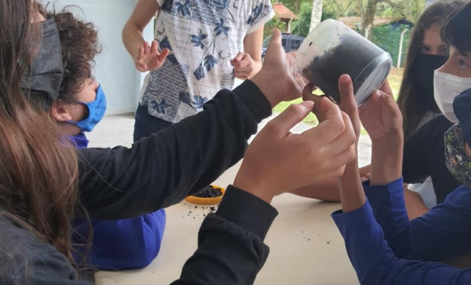 A compostagem controlada não gera o transporte de resíduos orgânicos para aterros sanitários, diminuindo o volume de resíduos que chegam a esses locais.