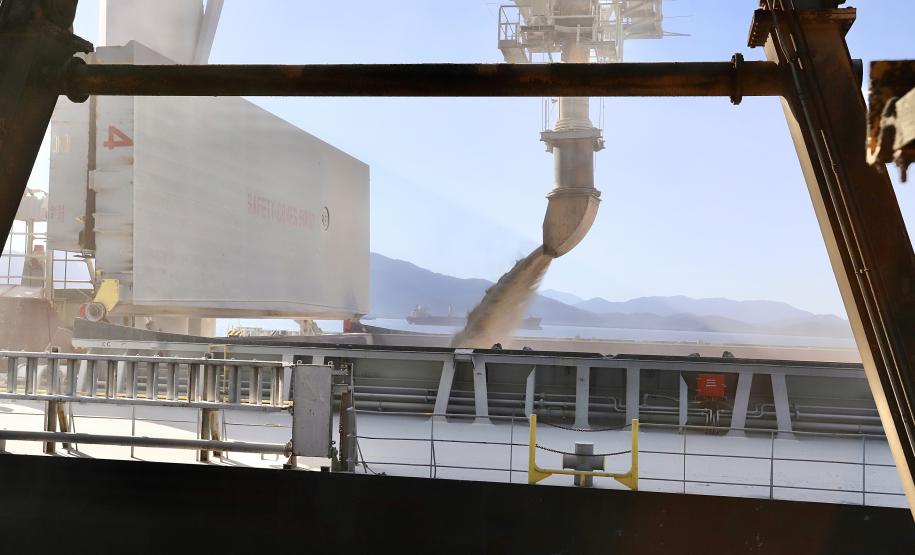 A receita gerada pelas exportações nos Portos do Paraná é quase toda do Agronegócio. Dos quase US$19,83 bilhões acumulados com os embarques em 2021, 90% - cerca de US$17,93 bilhões - foram em produtos agropecuários. Desse montante, o complexo soja e o frango respondem por mais da metade.