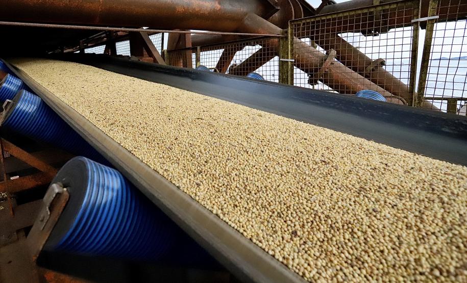 A receita gerada pelas exportações nos Portos do Paraná é quase toda do Agronegócio. Dos quase US$19,83 bilhões acumulados com os embarques em 2021, 90% - cerca de US$17,93 bilhões - foram em produtos agropecuários. Desse montante, o complexo soja e o frango respondem por mais da metade.