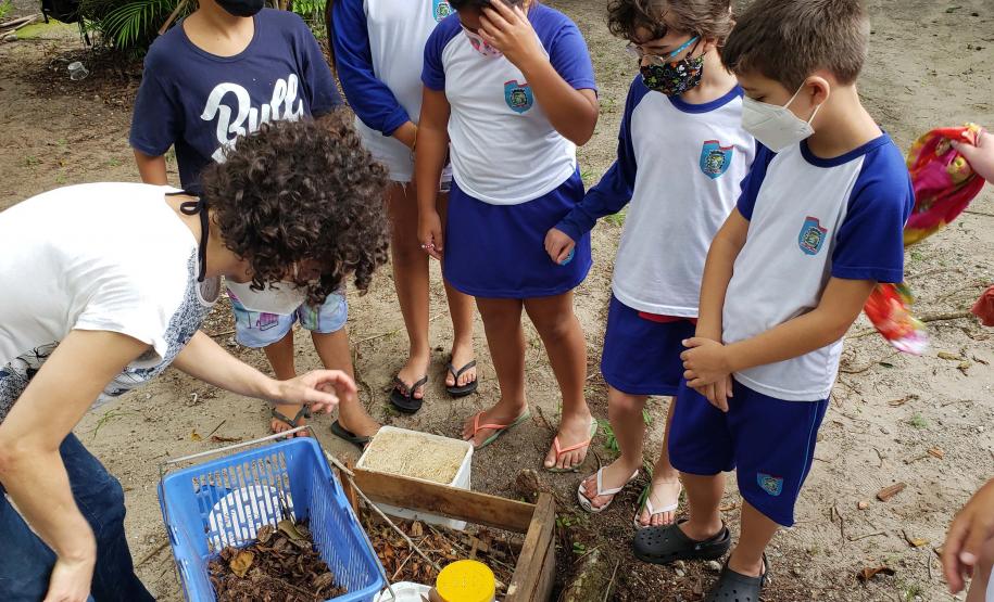 Como educação ambiental, Portos do Paraná implanta composteiras em escolas na Ilha do Mel