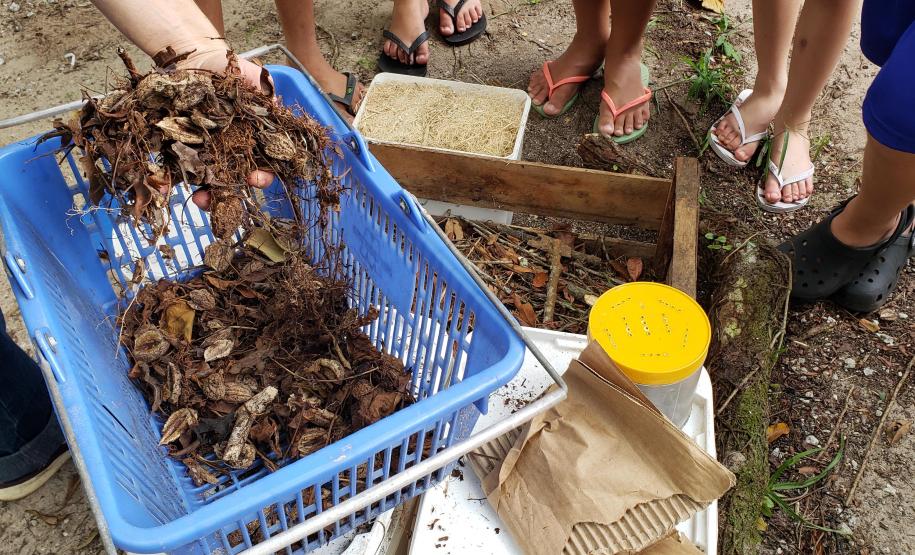 Como educação ambiental, Portos do Paraná implanta composteiras em escolas na Ilha do Mel