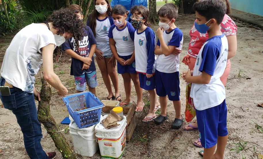 Como educação ambiental, Portos do Paraná implanta composteiras em escolas na Ilha do Mel