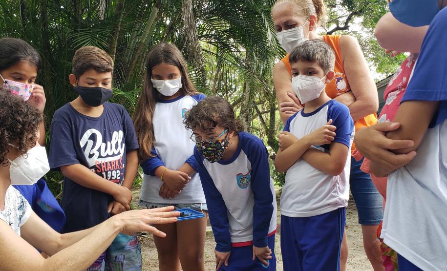 Como educação ambiental, Portos do Paraná implanta composteiras em escolas na Ilha do Mel