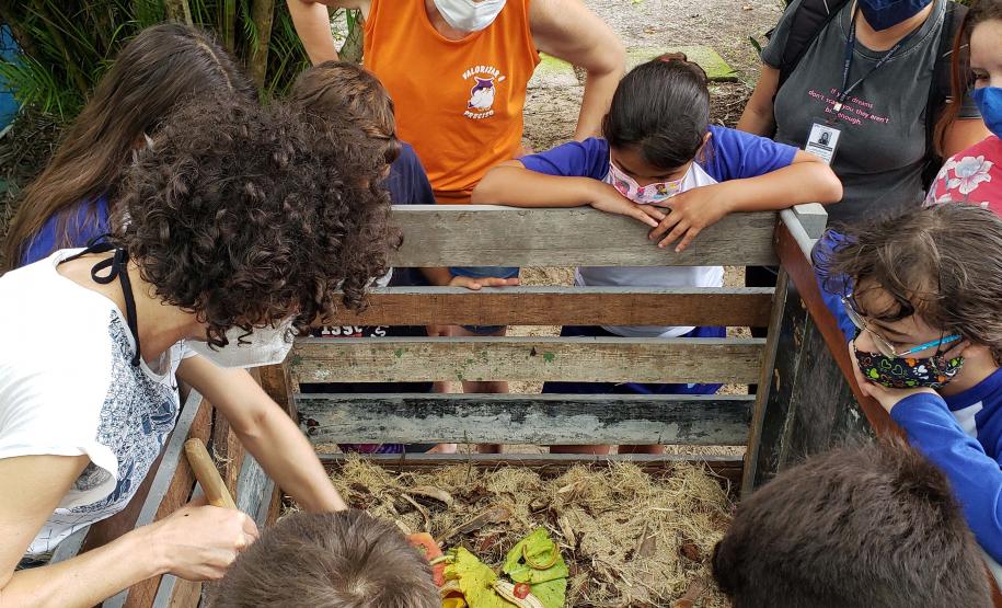 Como educação ambiental, Portos do Paraná implanta composteiras em escolas na Ilha do Mel