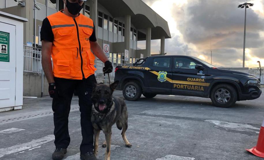 Animais fiscalizam veículos no cais do Porto de Paranaguá, sacolas e mochilas de trabalhadores portuários durante a troca de turno. Ações pontuais tem o objetivo de combater o tráfico internacional de drogas.