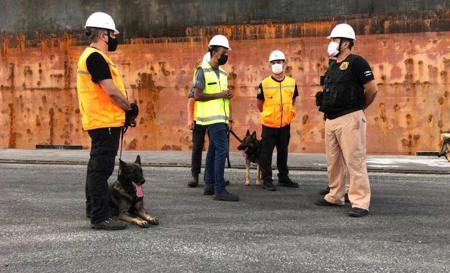 Animais fiscalizam veículos no cais do Porto de Paranaguá, sacolas e mochilas de trabalhadores portuários durante a troca de turno. Ações pontuais tem o objetivo de combater o tráfico internacional de drogas.