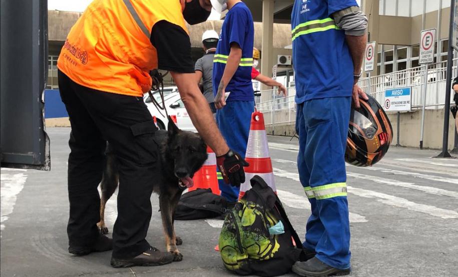 Animais fiscalizam veículos no cais do Porto de Paranaguá, sacolas e mochilas de trabalhadores portuários durante a troca de turno. Ações pontuais tem o objetivo de combater o tráfico internacional de drogas.