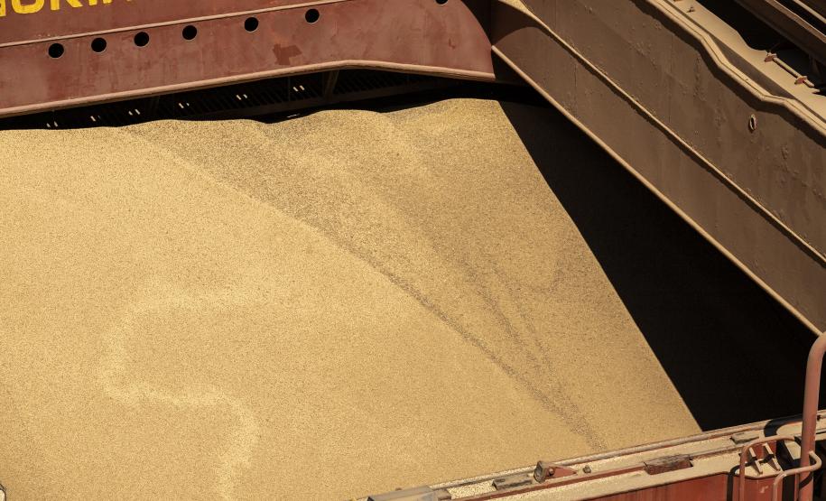 Com 4,1 milhões de toneladas, volume movimentado no primeiro mês foi 15% maior que no mesmo período de 2020. Recorde anterior para o mês de janeiro foi em 2016.