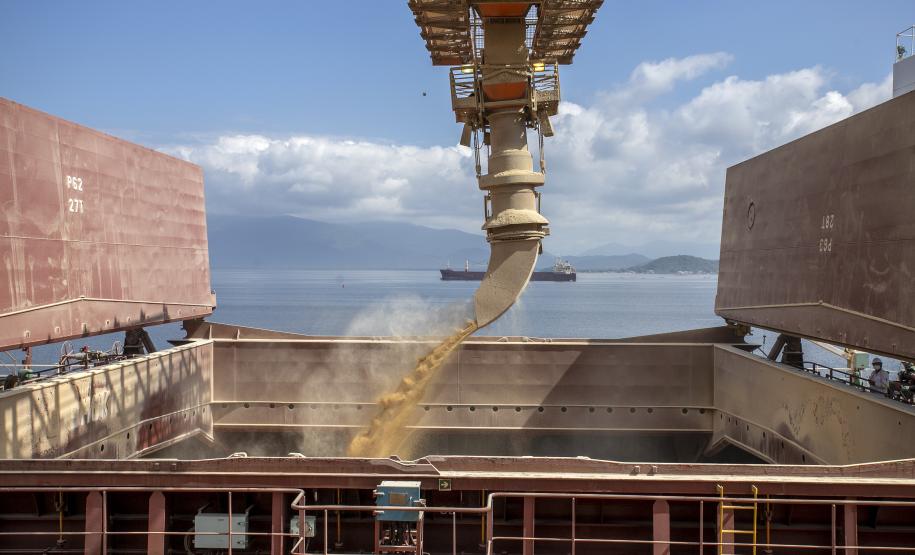 Exportações do complexo soja pelo Porto de Paranaguá crescem 25% no 1º trimestre