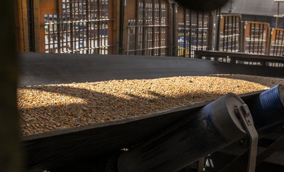 Terminais paranaenses esperam exportar mais de 6,5 milhões de toneladas de granéis neste 2º trimestre