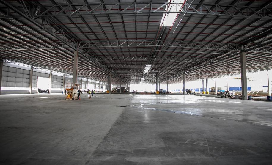 Obra do terminal de celulose do Porto de Paranaguá avança e unidade deve iniciar operação já neste ano