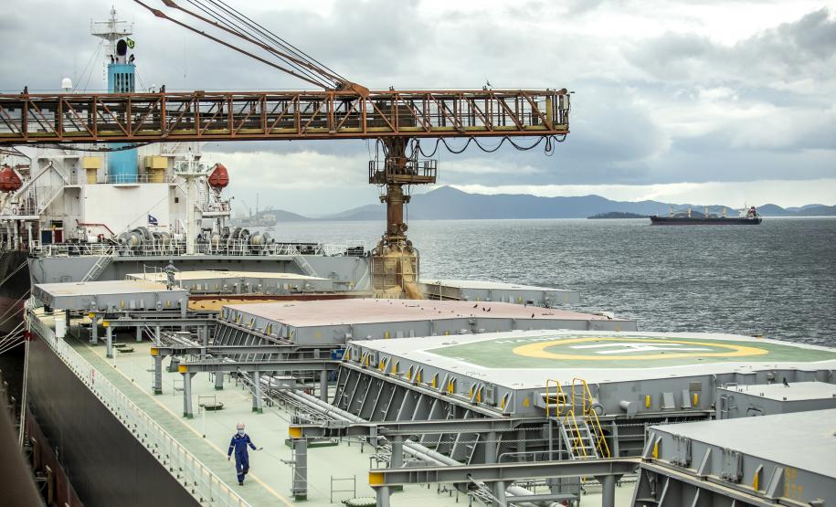 Imagem de Farelo de Soja - Terminais paranaenses esperam exportar mais de 6,5 milhões de toneladas de granéis neste 2º trimestre